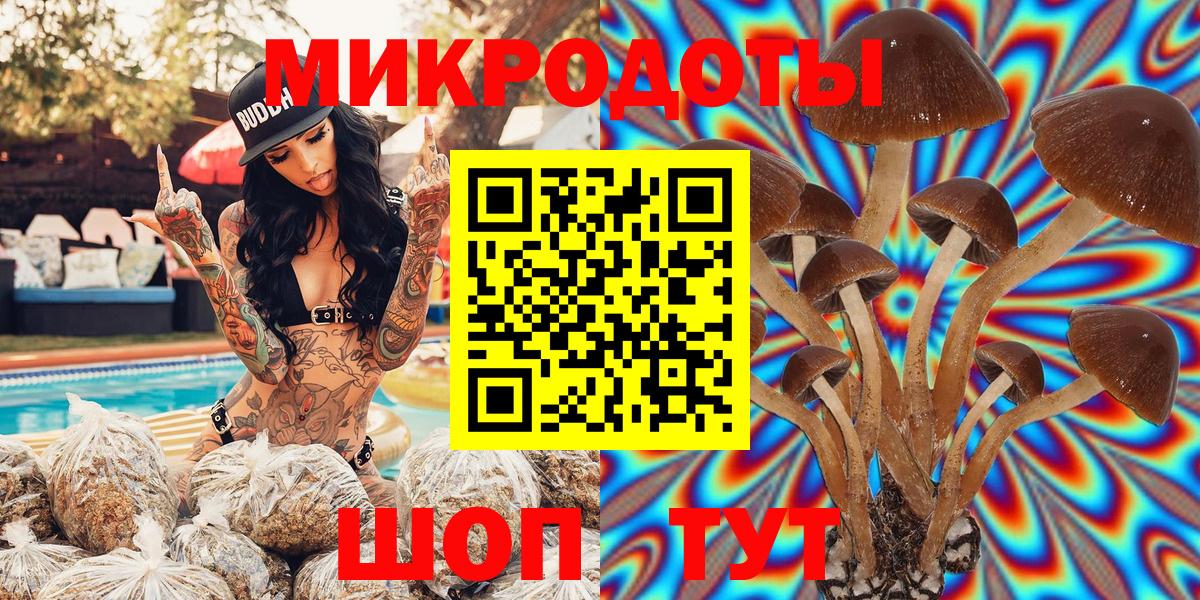 Галлюциногенные грибы Psilocybine cubensis Орёл