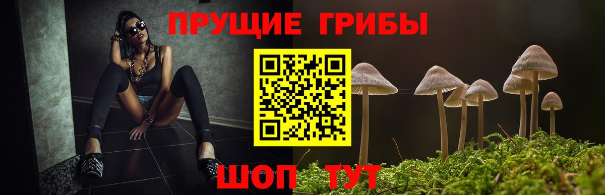 Орёл  Галлюциногенные грибы мицелий  Вход с VPN 